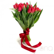 Magnificent Tulips Bouquet (Regular)